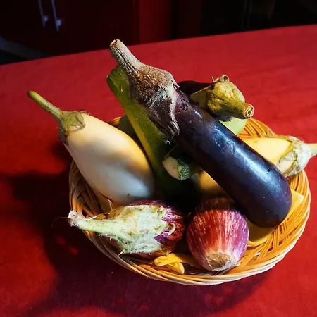 Domaine Des Chais Hotel 3*